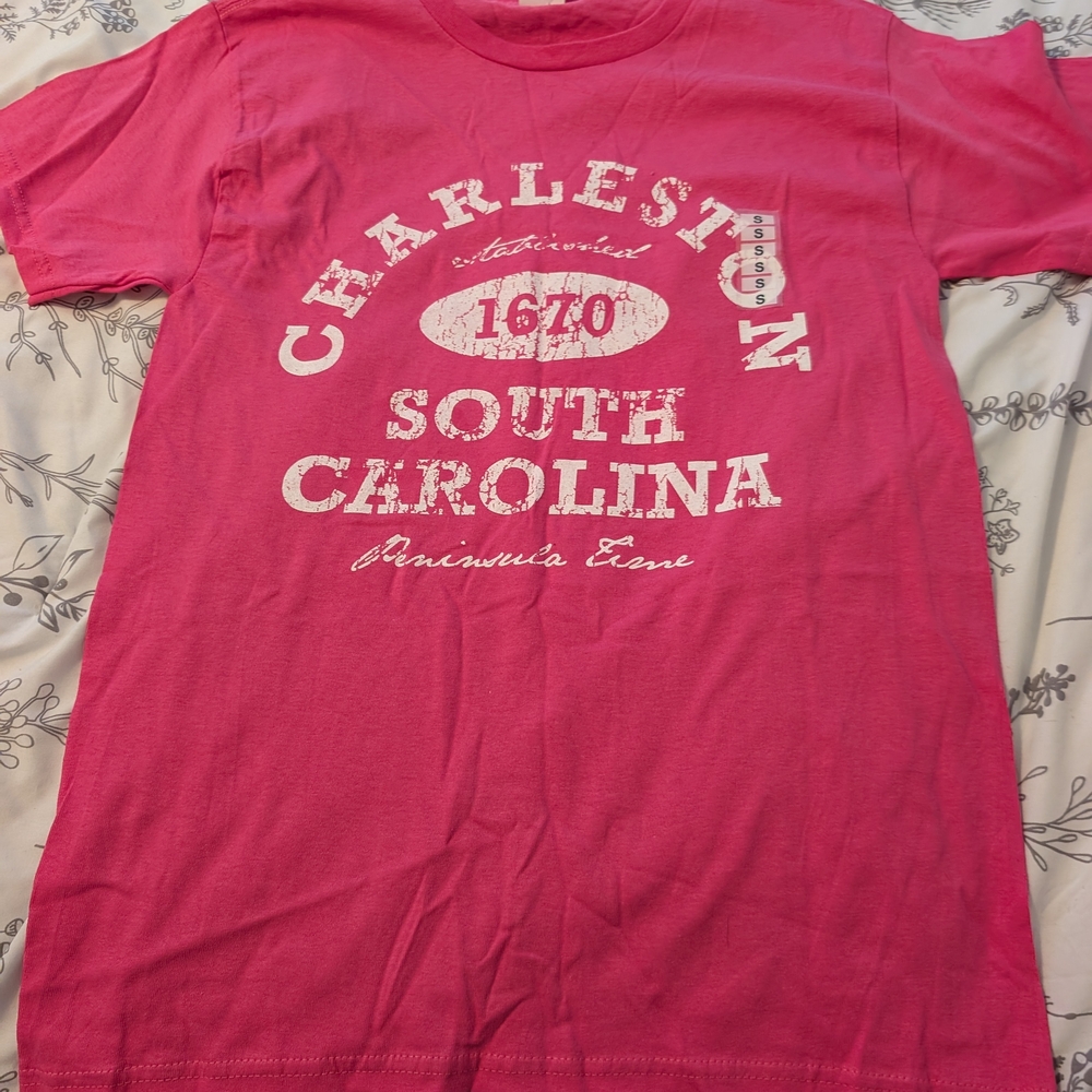 Hanes Pink Charleston Graphic Tee
